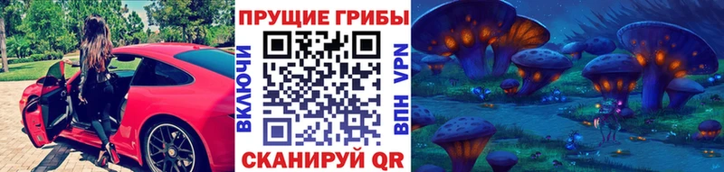 нарко площадка как зайти  Суровикино  Галлюциногенные грибы Cubensis 